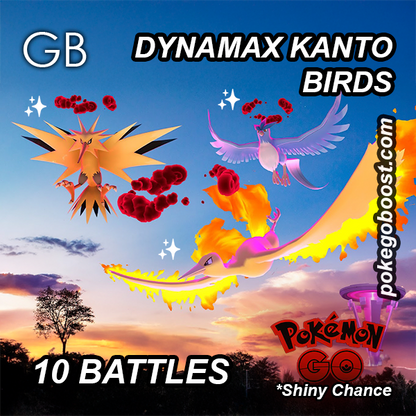 DYNAMAX KANTO BIRDS BATTLES