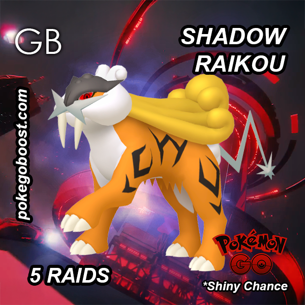 Shadow RAIKOU Legendary Raid Day
