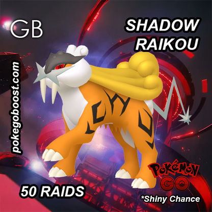 Shadow RAIKOU Legendary Raid Day