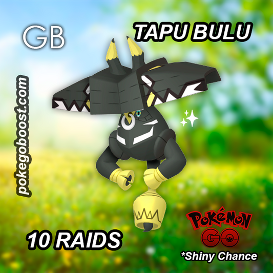 TAPU BULU RAIDS